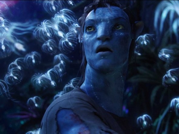 Avatar sử dụng hàng loạt trang thiết bị hiện đại để xây dựng lên một thế giới hoành tráng bên ngoài trái đất, Pandorum - hành tinh đẹp đẽ với những sinh vật kỳ lạ.